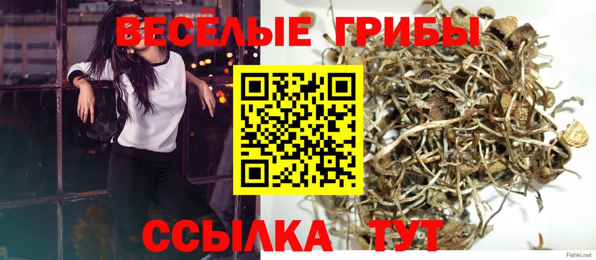 Псилоцибиновые грибы GOLDEN TEACHER  Вход с VPN  Кстово 